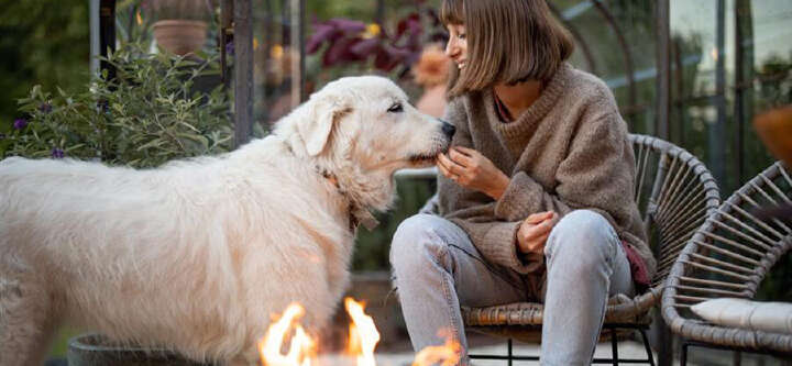 frau mit hund outdoor vorm feuer 1600x740